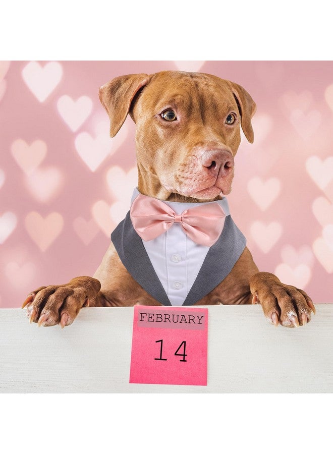 بوماي بوريتي طقم ملابس رسمية للكلاب الكبيرة من PUMYPOREITY - بدلة رسمية وربطة عنق على شكل فراشة، مناسب لحفلات الزفاف الرسمية، رمادي، مقاس XL - Image 2