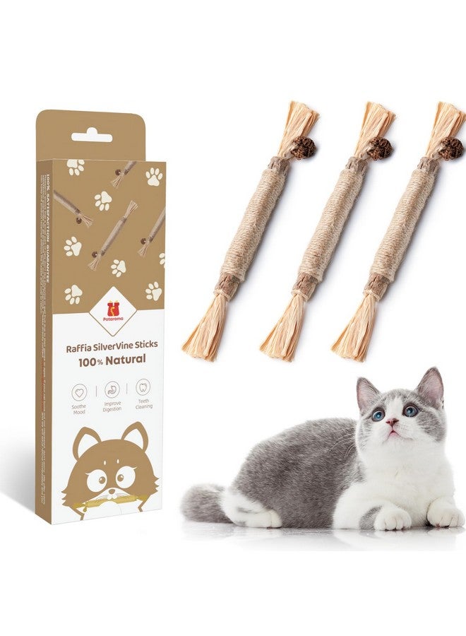 Potaroma 3 Pack Natural Silvervine Sticks Cat Toys, Catmint Silvervine Blend Sticks, Catnip Kittens Chew Toys Teeth Cleaning, Matatabi Dental Care Cat Treat Edible Kitty Lick Toys, Package May Vary - Image 1