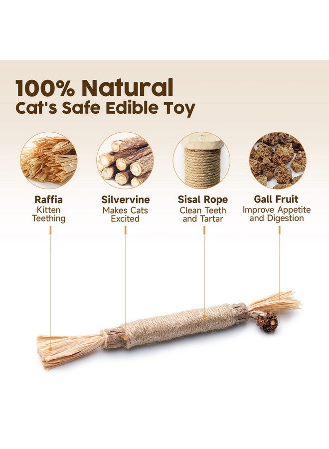 Potaroma 3 Pack Natural Silvervine Sticks Cat Toys, Catmint Silvervine Blend Sticks, Catnip Kittens Chew Toys Teeth Cleaning, Matatabi Dental Care Cat Treat Edible Kitty Lick Toys, Package May Vary - Image 2