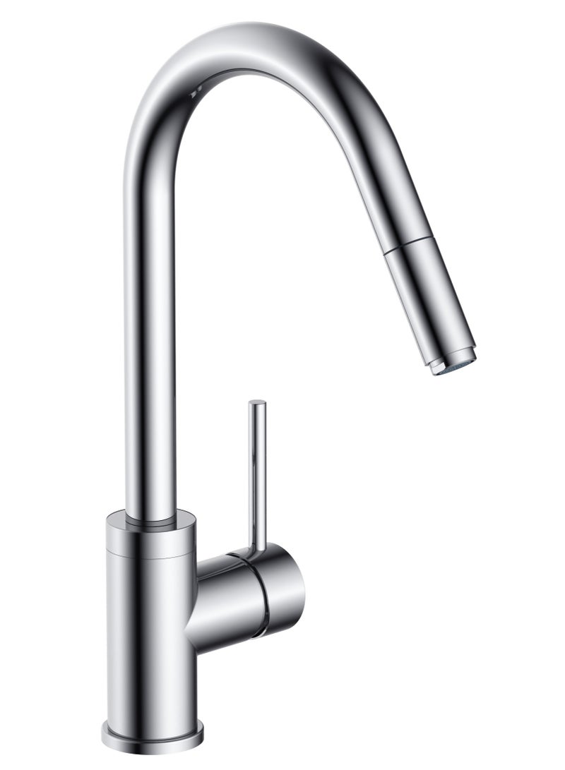 HESANIT Pull Out Sprayer Kitchen Sink Faucet Mixer Chrome - 6931C - Image 1