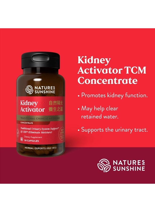 NATURE'S SUNSHINE منشط الكلى TCM مركز، 30 كبسولة | مكمل طبيعي للكلى الصينية يحتوي على أعشاب لدعم وتعزيز وظيفة الكلى وتدفق البول - Image 4