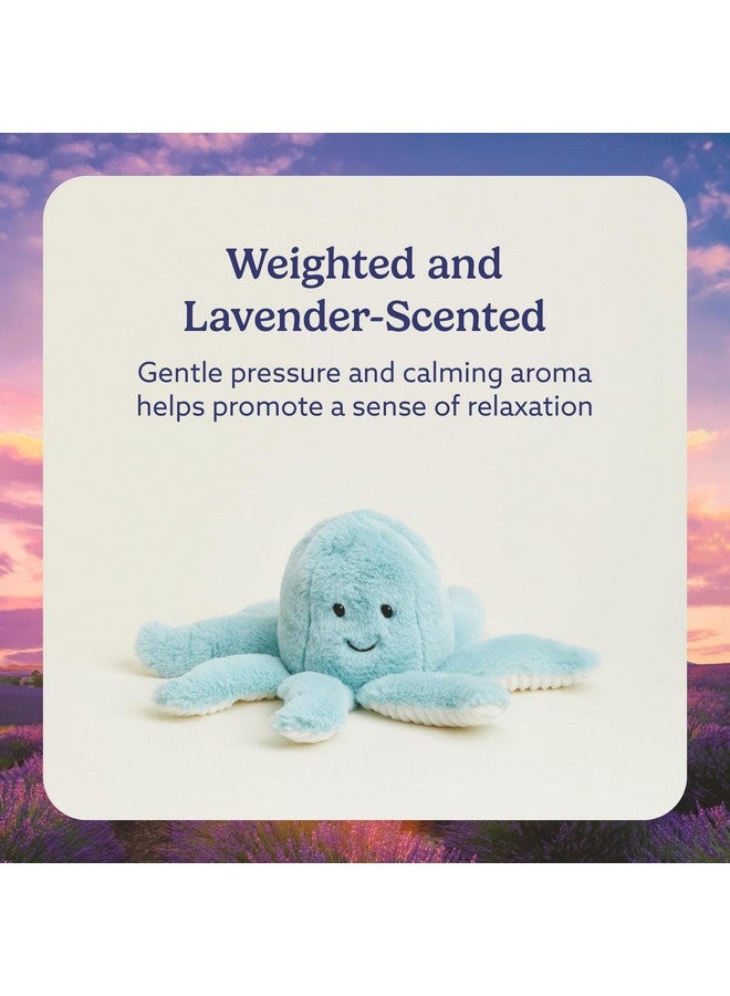 Warmies دمى دافئة قابلة للتسخين بالميكروويف ووزنها، أخطبوط - دمية محشوة مدفأة للدفء والراحة - ألعاب محشوة ناعمة لطيفة للبالغين والأطفال (الأولاد، البنات، الرضع والأطفال الصغار) - Image 3