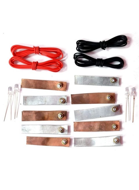 DIBLOX Zinc - Copper 5 + 5 Plate Strip Work of Lemon Energy and Patoto Energy Practical | Project | Chemistry for School College Project Experiments