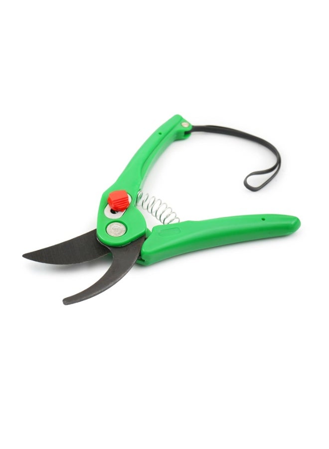 Professional Hand Pruner Cutter – Garden Bypass Pruning Shears & Secateurs – Sharp Steel Blade Plant Scissors with Safety Lock, Ergonomic Non-Slip Handle – Perfect Gardening Tool for Trimming Branches, Grass, and Plants - Image 1