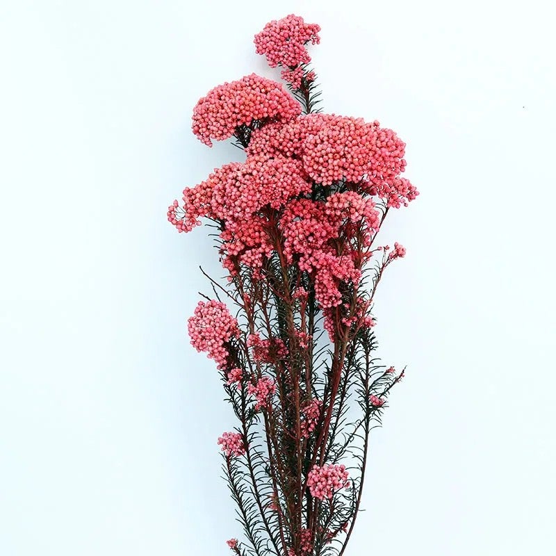 Bluejw Millet Flower Dried Bouquet – Colorful Natural Preserved Millet Rice Dried Plants for Home Decor, Valentine's Day Gift, Long-Lasting Floral Arrangement - Image 1