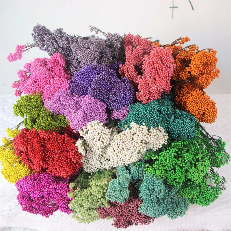 Bluejw Millet Flower Dried Bouquet – Colorful Natural Preserved Millet Rice Dried Plants for Home Decor, Valentine's Day Gift, Long-Lasting Floral Arrangement - Image 5
