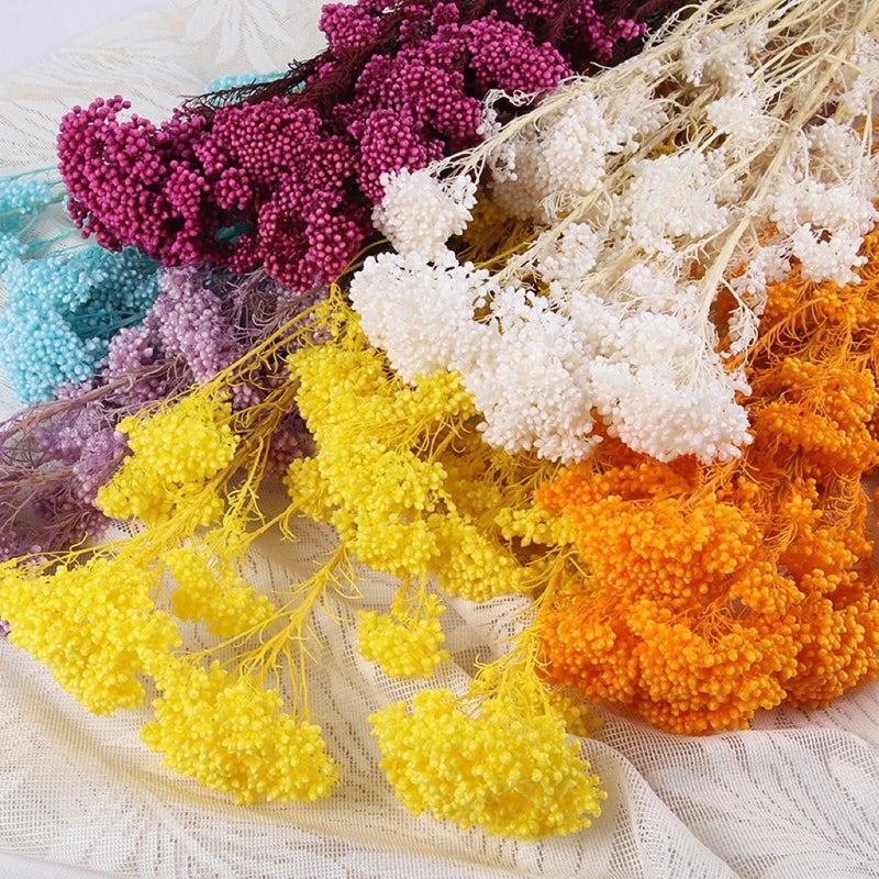 Bluejw Millet Flower Dried Bouquet – Colorful Natural Preserved Millet Rice Dried Plants for Home Decor, Valentine's Day Gift, Long-Lasting Floral Arrangement - Image 3