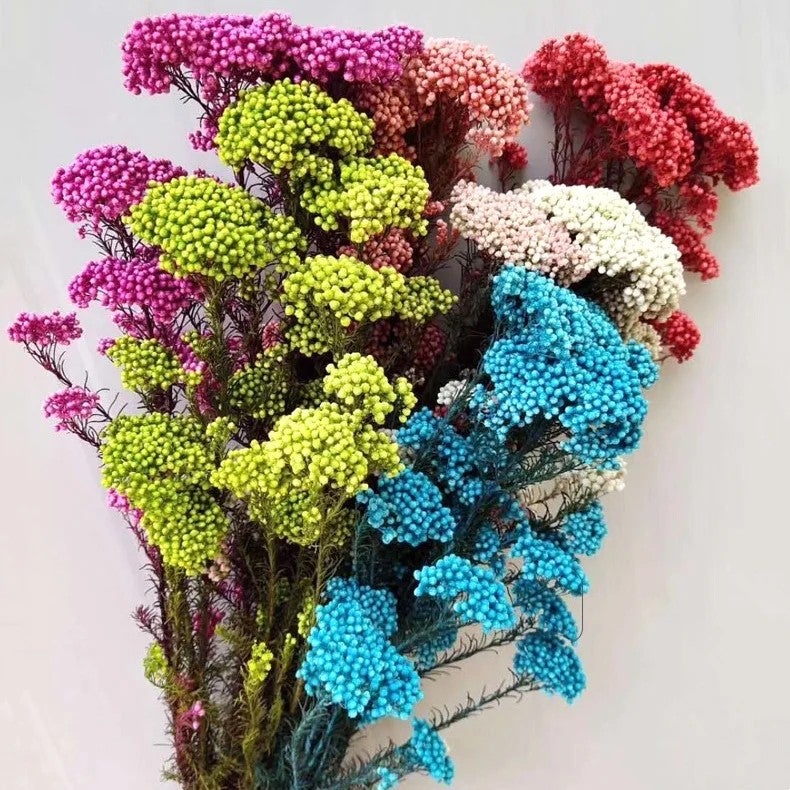 Bluejw Millet Flower Dried Bouquet – Colorful Natural Preserved Millet Rice Dried Plants for Home Decor, Valentine's Day Gift, Long-Lasting Floral Arrangement - Image 2
