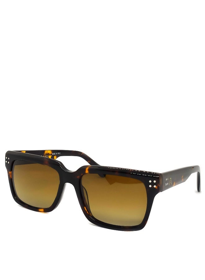 IVILARA SQM5544 Polarized IVILARA Women Sunglasses (Brown) - Image 2