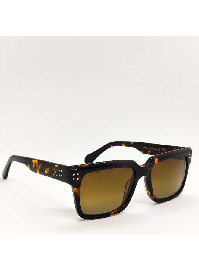 IVILARA SQM5544 Polarized IVILARA Women Sunglasses (Brown) - Image 4