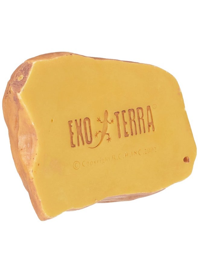 Exo Terra Exo Terra Water Dish, Medium  - Image 3