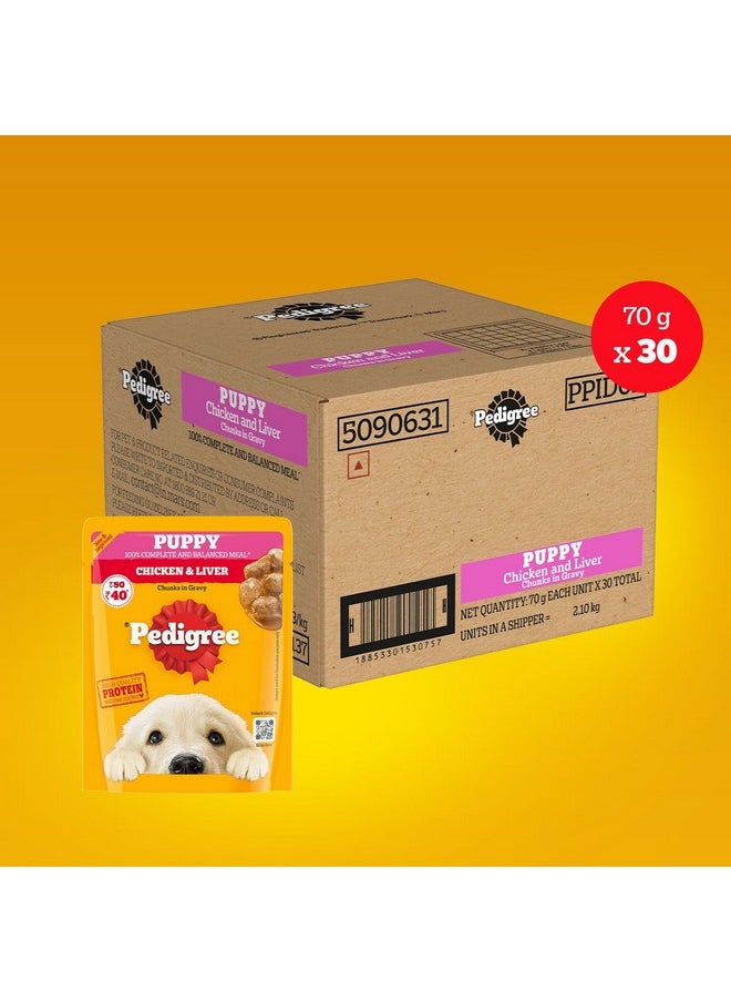 Pedigree Pedigree Puppy Wet Dog Food, Chicken & Liver Chunks in Gravy, 70 g (Pack of 30), Made with Real Meat, 100% Complete & Balanced Meal for Puppies  - Image 4
