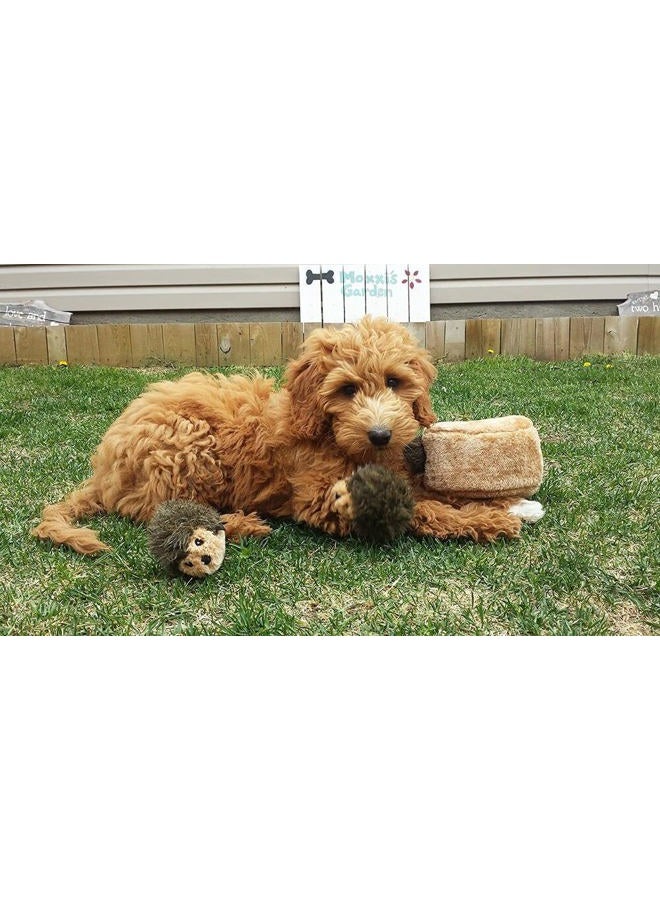 ZippyPaws Woodland Friends Burrow, Interactive Squeaky Hide and Seek Plush Dog Toy - Image 5