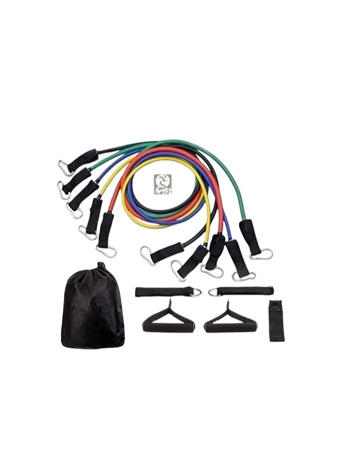 Generic Resistance bands set 11 x 1 - a complete gym in a bag OM  - Image 1