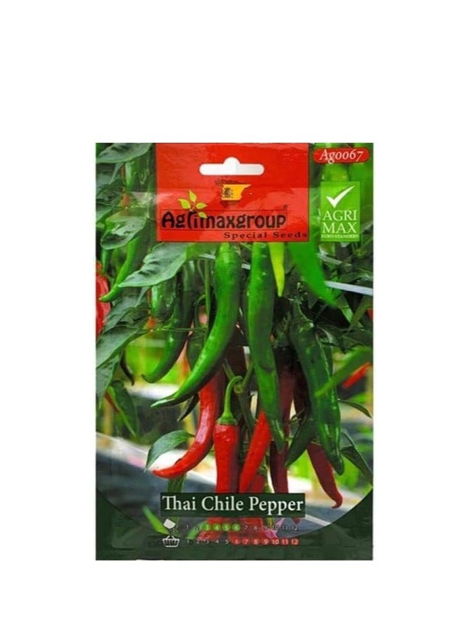 أجريماكس بذور الفلفل التشيلي التايلاندية عالية الجودة من Agrimaxgroup® - Image 2