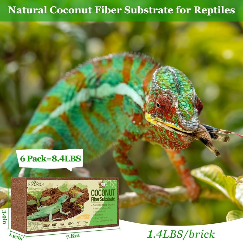 Riare 6 Pack Natural Coconut Fiber Substrate for Reptile- Premium Compressed Coconut Husk Terrarium Bedding for Reptile, Tortoise, Frogs, Snakes Hermit Crabs, Burrowing Animals(6 Pack) - Image 2