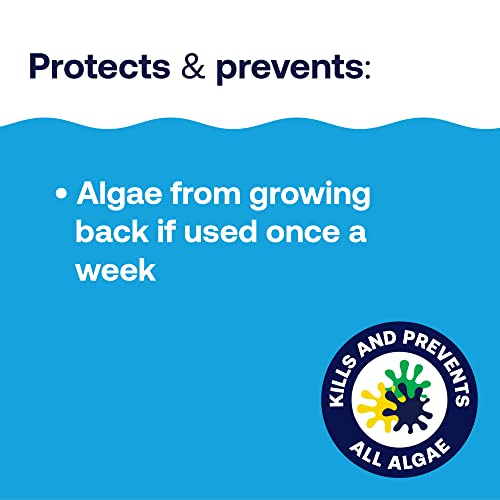 HTH 67084 Pool Care Algae Guard Advanced, All Algae Eliminator for Swimming Pools - Fast-Acting, Destroys & Prevents Green, Black & Mustard Algae, Keeps Pool Water Crystal Clear, 32 fl oz - Image 5