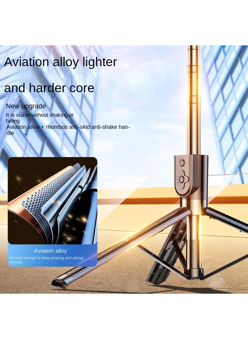 Self portrait pole tripod handheld portable mobile phone Self portrait pole shooting bracket with fill light - Image 3