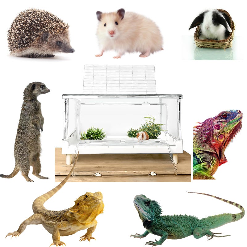 Ruexue Hamster Cage & Guinea Pig Cages,Fully Transparent and Eco-Friendly Large Acrylic Cage for Small Animal Pets,Such as:Bearded Dragon,Rat,Hedgehog,Chameleon,Iguana, etc (27.5Lx16.9Wx13.4H Inches) - Image 4