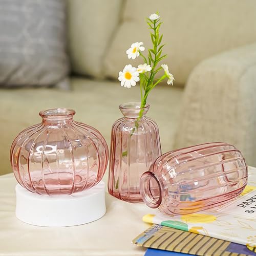 Ekhasa Pink Glass Bud Vases Flower Pots for Home Decoration (Set of 3) | Center Table Mini Decorative Items | Transparent Glass Vase for Water Plants | Glass Planters for Indoor Plants - Image 1