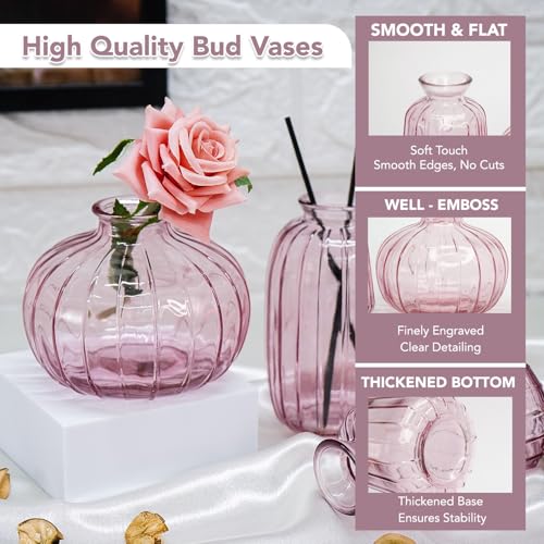 Ekhasa Pink Glass Bud Vases Flower Pots for Home Decoration (Set of 3) | Center Table Mini Decorative Items | Transparent Glass Vase for Water Plants | Glass Planters for Indoor Plants - Image 4