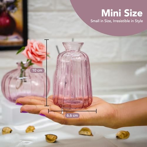 Ekhasa Pink Glass Bud Vases Flower Pots for Home Decoration (Set of 3) | Center Table Mini Decorative Items | Transparent Glass Vase for Water Plants | Glass Planters for Indoor Plants - Image 3