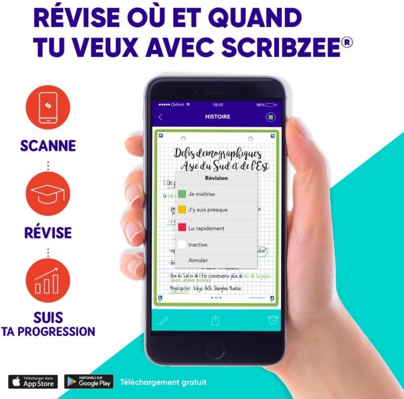 أوكسفورد Oxford Révision 2.0 عبوة من 50 بطاقة تسجيل A5 (14.8 × 21 سم) مربعات صغيرة على الجانبين - إطار أخضر - Image 3
