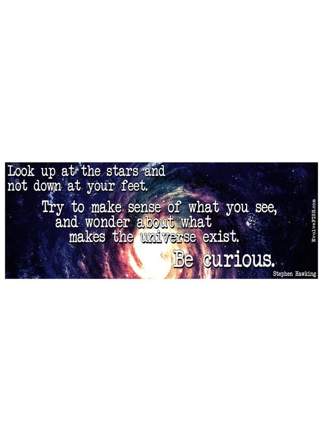 EvolveFISH Be Curious Bumper Sticker - [11" x 3"] - Image 2