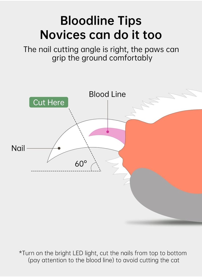 Generic Pet Nail Clippers for Dogs and Cats - Two-Speed LED Light for Safe Nail Trimming, Includes Hidden Nail File to Prevent Over-Cutting  - Image 4