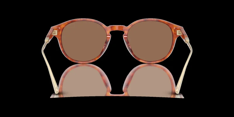 COACH Coach Man Acetate Sunglasses