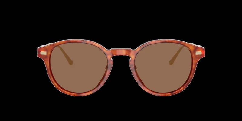 COACH Coach Man Acetate Sunglasses