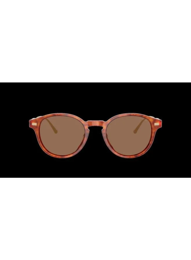 COACH Coach Man Acetate Sunglasses