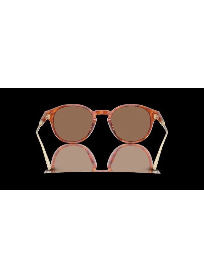 COACH Coach Man Acetate Sunglasses