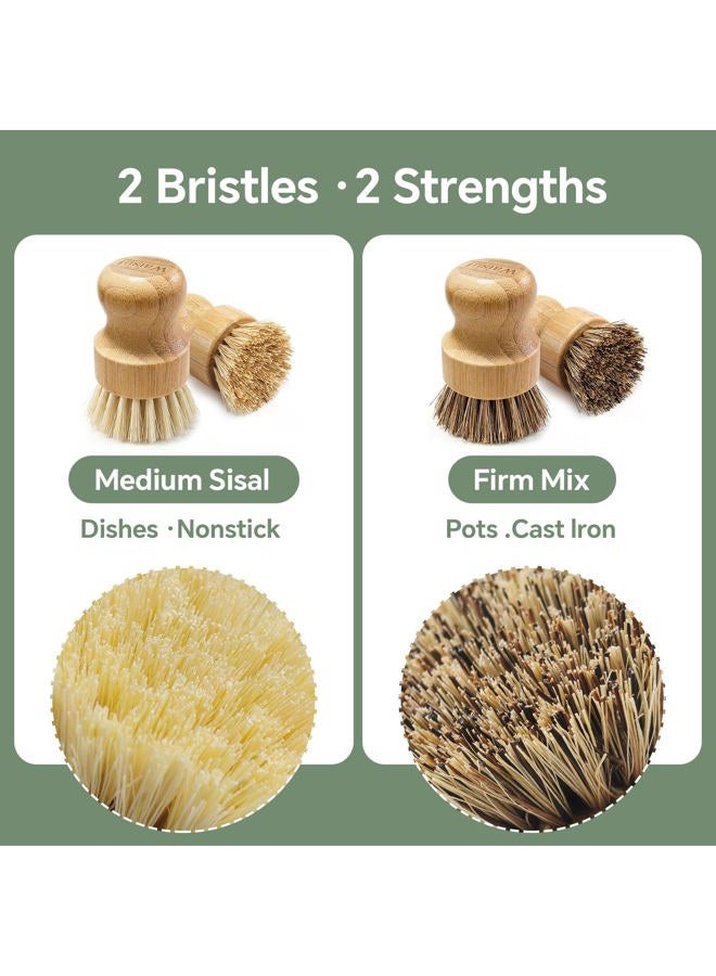 Waisul Bamboo Dish Brush Set, 4-Pack Dish Scrubber and Vegetable Brush with Natural Sisal & Coconut Fiber, Kitchen Brush for Pots, Pans, Cast Iron & Dishes - Image 3