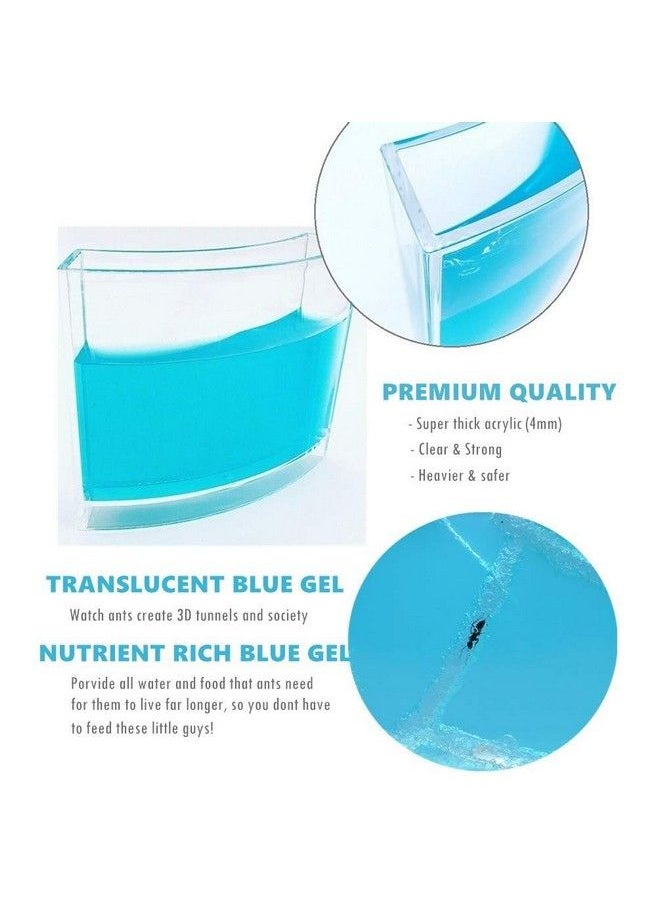 null - Ant Farm Habitat For Kids W/Led Light Great Educational & Science Kit With Nutrient Blue Gel, Observing Ants Create 3D Tunnels To Study Ants Behaviors & Ecosystem (Live Ants Not Included) - Image 1