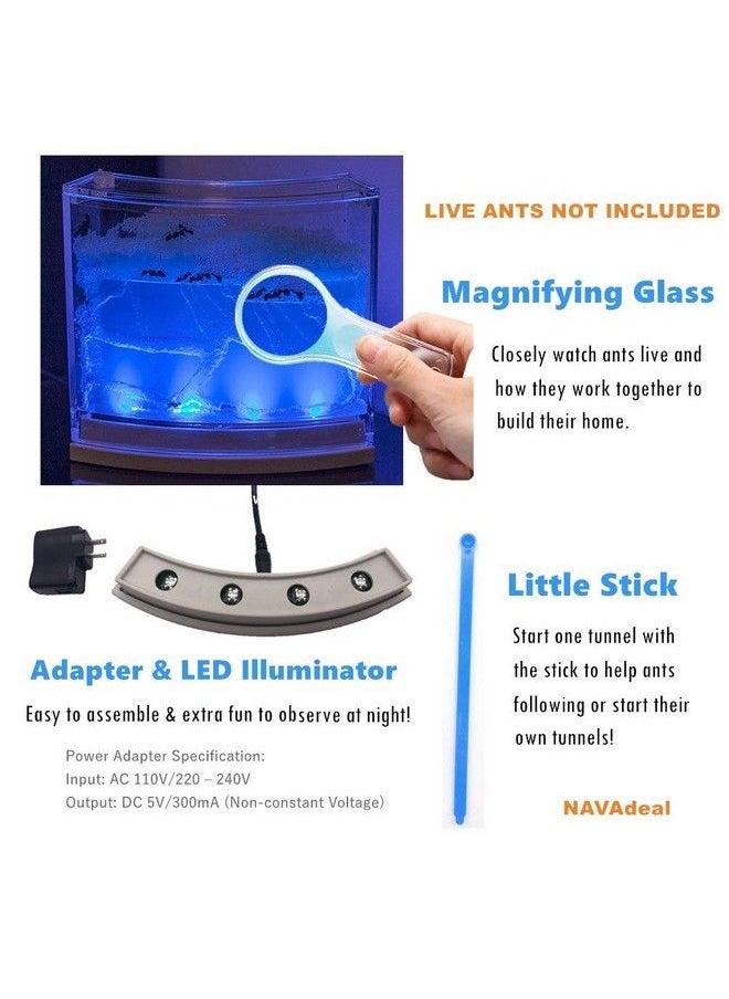 null - Ant Farm Habitat For Kids W/Led Light Great Educational & Science Kit With Nutrient Blue Gel, Observing Ants Create 3D Tunnels To Study Ants Behaviors & Ecosystem (Live Ants Not Included) - Image 1