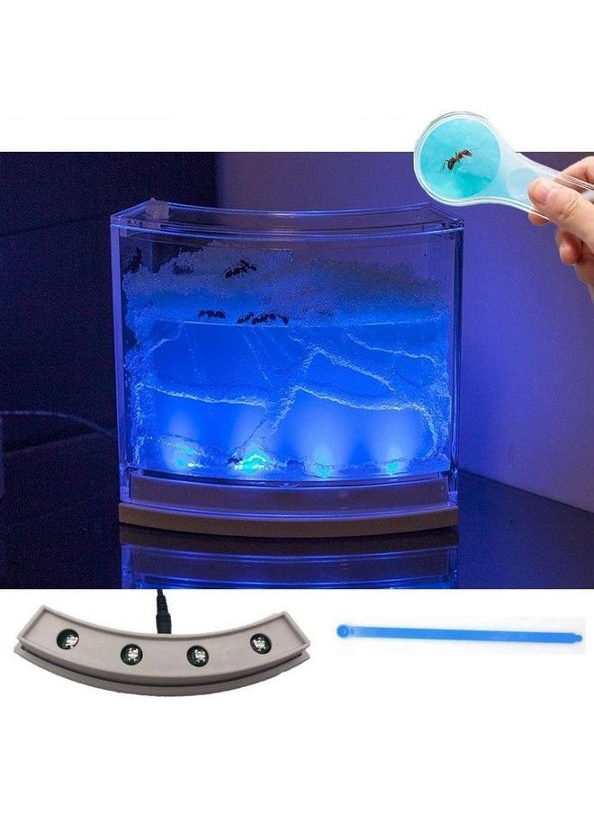 null - Ant Farm Habitat For Kids W/Led Light Great Educational & Science Kit With Nutrient Blue Gel, Observing Ants Create 3D Tunnels To Study Ants Behaviors & Ecosystem (Live Ants Not Included) - Image 1