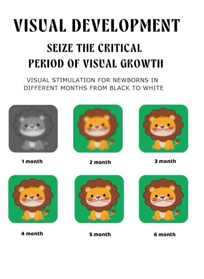 4 Sets High Contrast Flash Cards Baby Visual Stimulation Cards, 80 Pcs 160 Page Black White Colorful Baby Flashcards Newborn Toys for Infants Visual Stimulation Brain Sensory Development & Parent-Child Interaction - Image 4