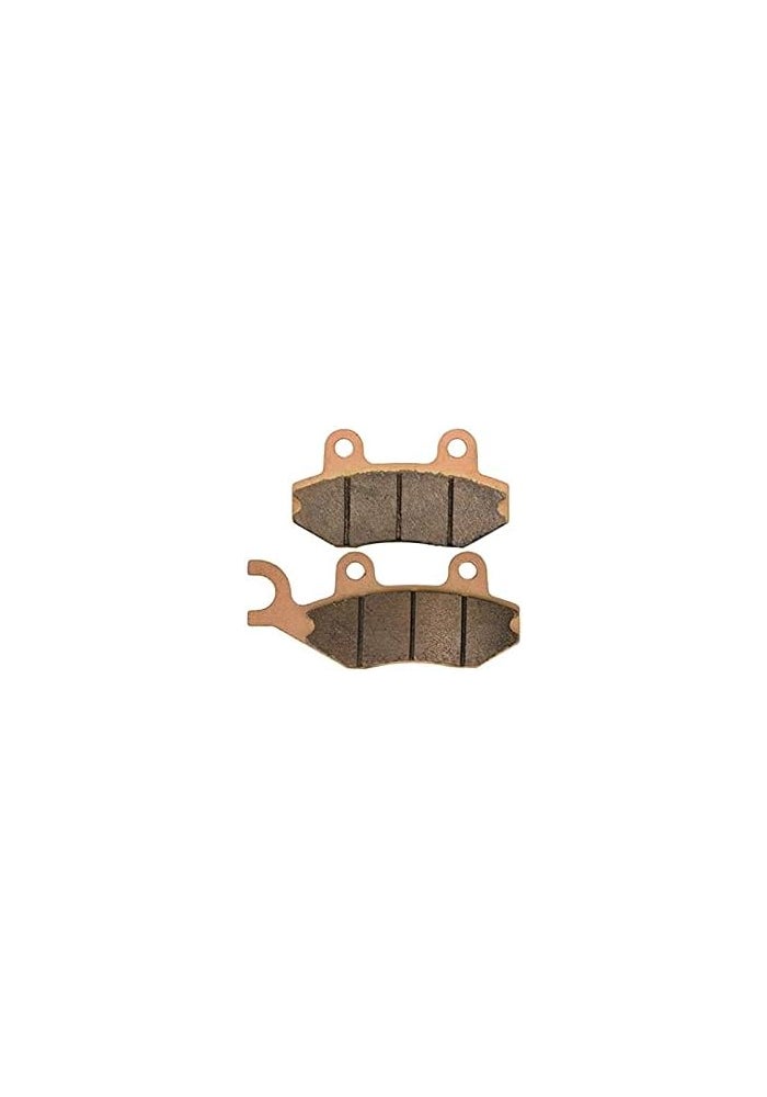 Wivplex Motorcycle Brake Pads for ATV Raptor 700 - Image 2
