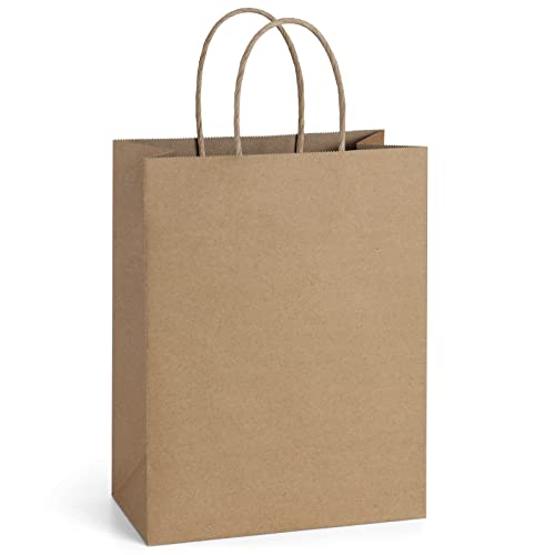 BagDream 25Pcs Brown Gift Bags 8x4.25x10.5 Kraft Paper for Gifts, Shopping Retail Merchandise Grocery Sacks, Brown Paper Bags with Handles Bulk Medium - Image 1