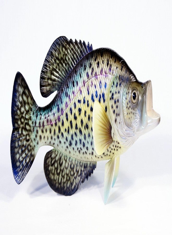 Lx Hand Painted Crappie Fish Replica Wall Mount Decor Room Ornament Plaque 15" - Image 2