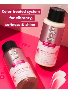 love beauty and planet Love Beauty and Planet Shampoo & Conditioner Murumuru Butter & Rose 2 Count for Color-Treated Hair Shampoo and Conditioner Silicone Free, Paraben Free and Vegan 13.5 oz  - Image 3