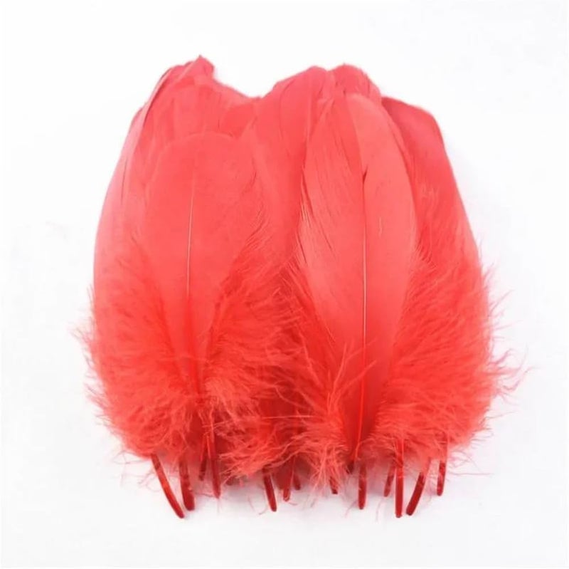 20Pcs/Lot Red Rooster Goose Pheasant Feathers Chicken Duck Peacock Father Ostrich Feathers - Image 5