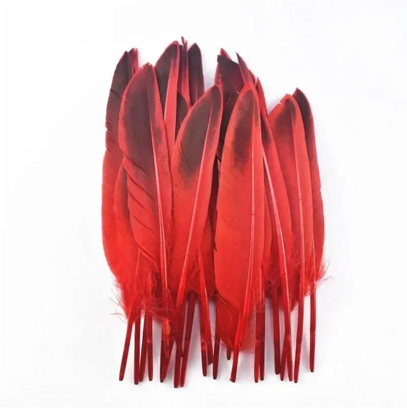 20Pcs/Lot Red Rooster Goose Pheasant Feathers Chicken Duck Peacock Father Ostrich Feathers - Image 4