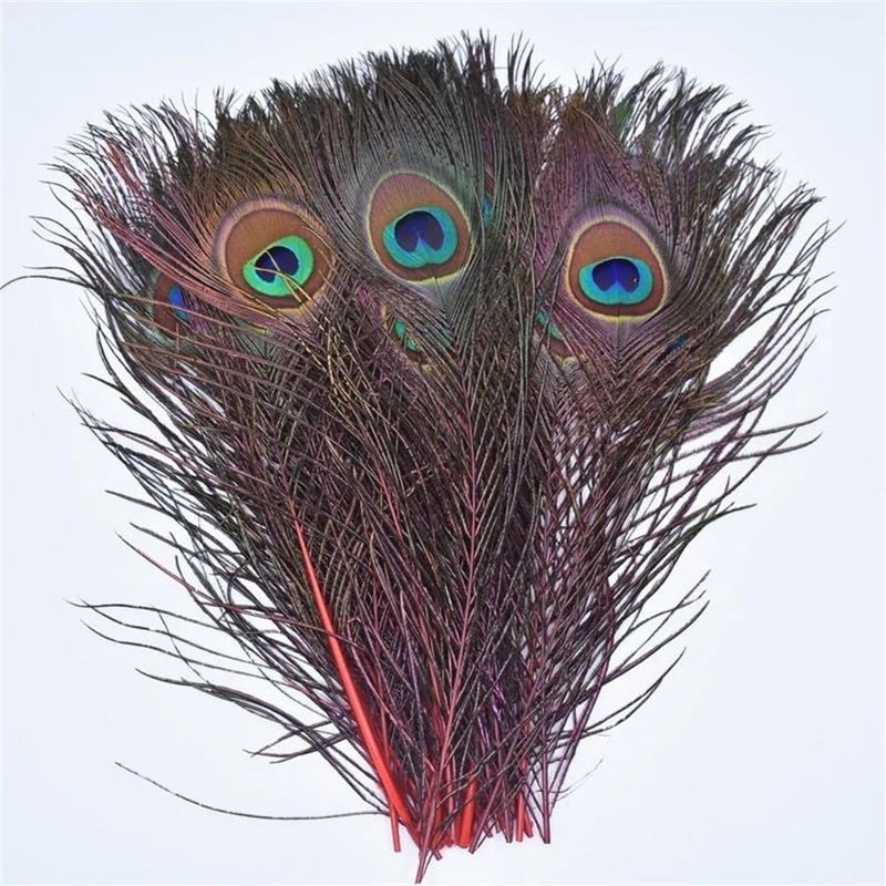 20Pcs/Lot Red Rooster Goose Pheasant Feathers Chicken Duck Peacock Father Ostrich Feathers - Image 1