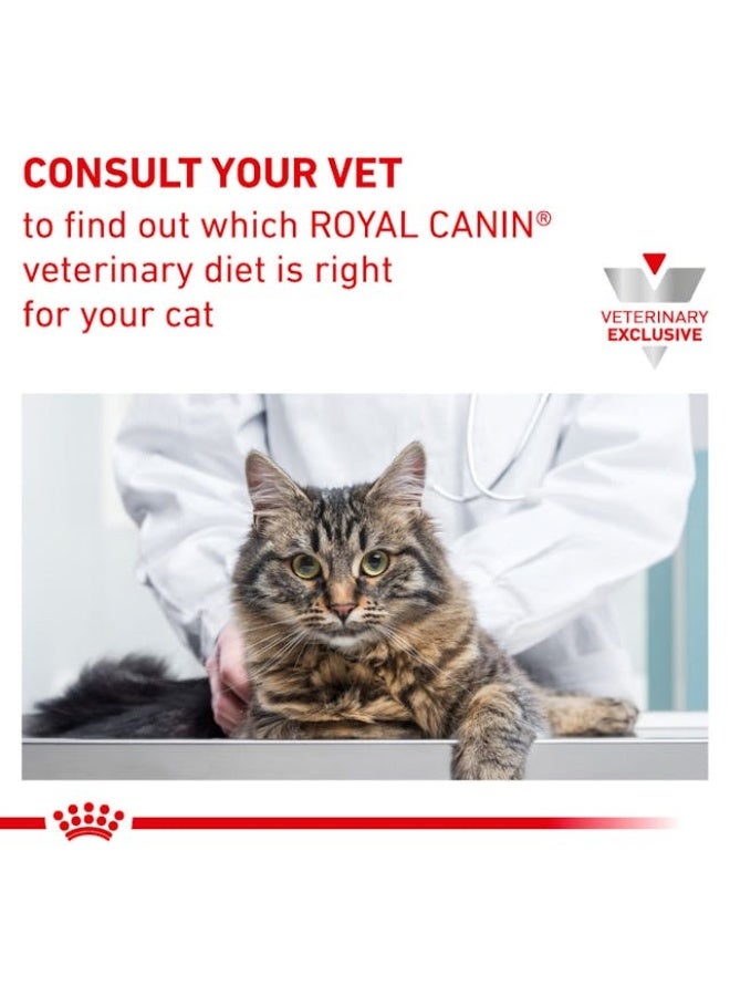 رويال كانين طعام قطط جاف رويال كانين يوريناري إس/أو (Urinary S/O) معتدل السعرات - تغذية متخصصة لدعم صحة المسالك البولية وتفتيت الحصوات مع سعرات حرارية أقل للتحكم بالوزن - 400 غرام - Image 4