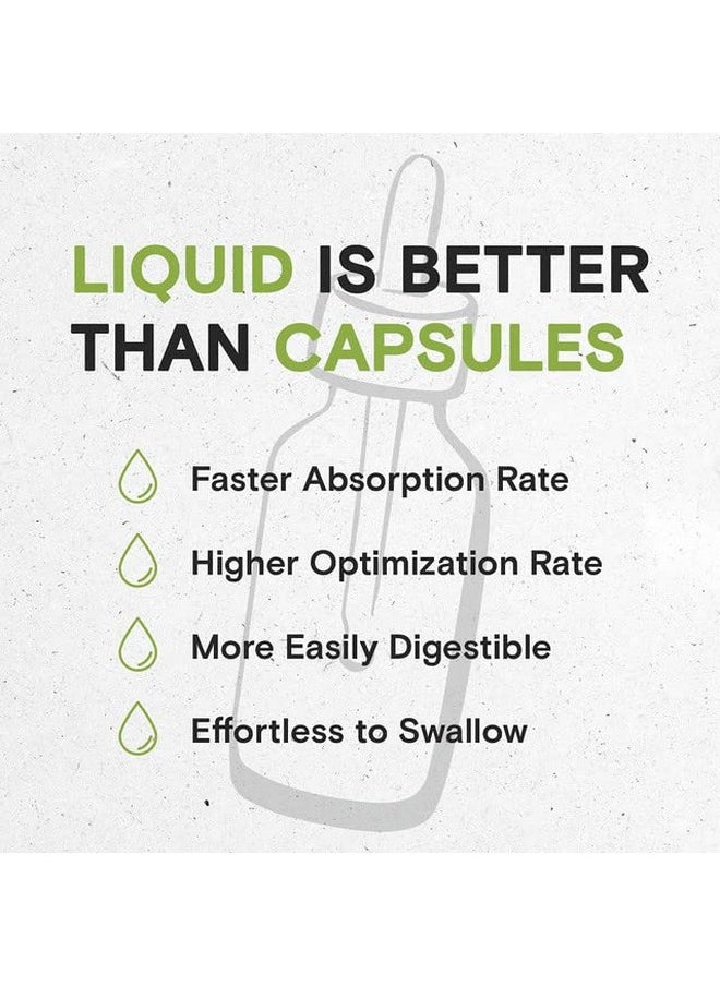 Cryptolepis Tincture Alcoholfree Extract Highpotency Herbal Drops Tincture Made From Wildcrafted Cryptolepis Sanguinolenta Stable Working Of The Gastrointestinal System 4 Oz