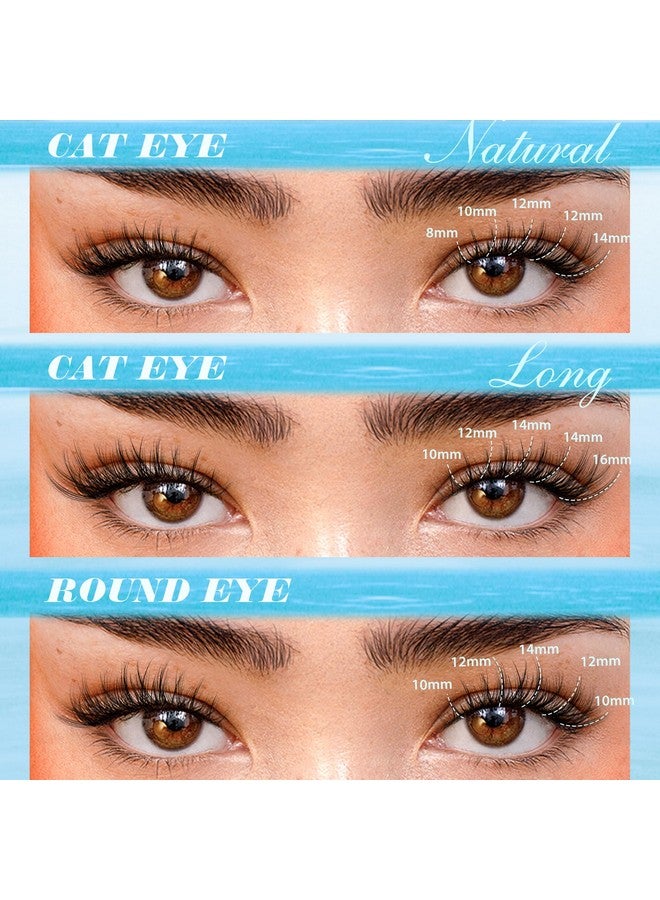 Pawotence Wispy Lash Clusters Natural Cluster Eyelash Extensions 154Pcs Individual Lashes 8-16Mm Lash Extension Diy False Eyelashes Soft Comfortable Natural Eyelash Clusters With Thin Band - Image 1