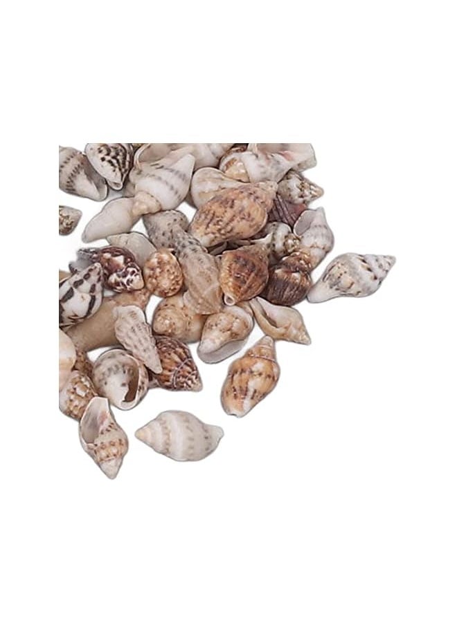 The Bros Small Sea Shells, Spiral Shells, 1 Can, Exquisite Pattern, Non-Porous Decoration for DIY Fish  - Image 5