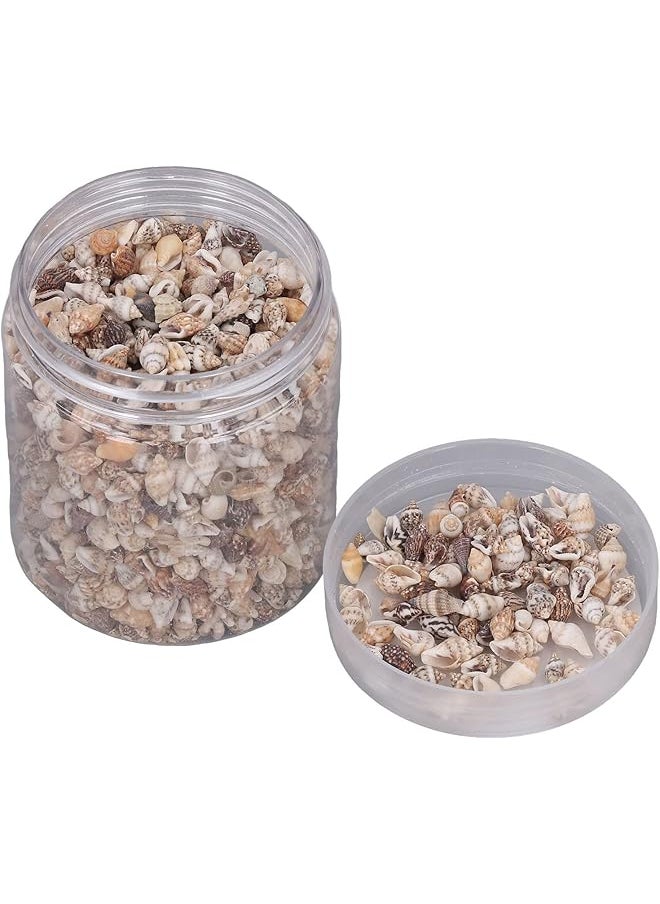 The Bros Small Sea Shells, Spiral Shells, 1 Can, Exquisite Pattern, Non-Porous Decoration for DIY Fish  - Image 1